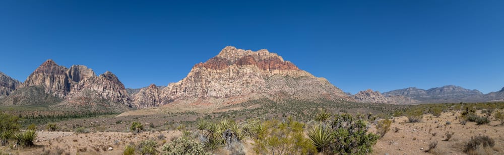 DS0A5548-Pano-2