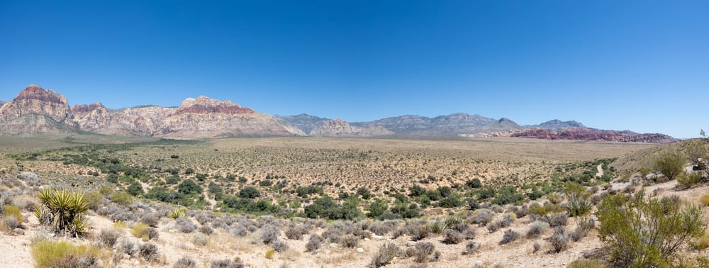 DS0A5660-Pano-2