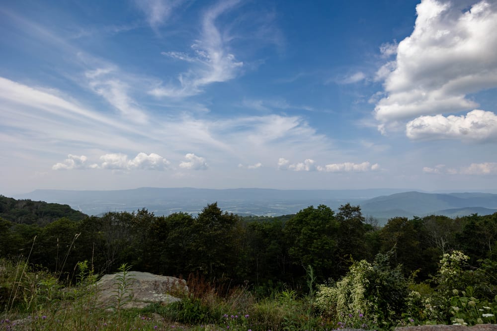 DS0A3702