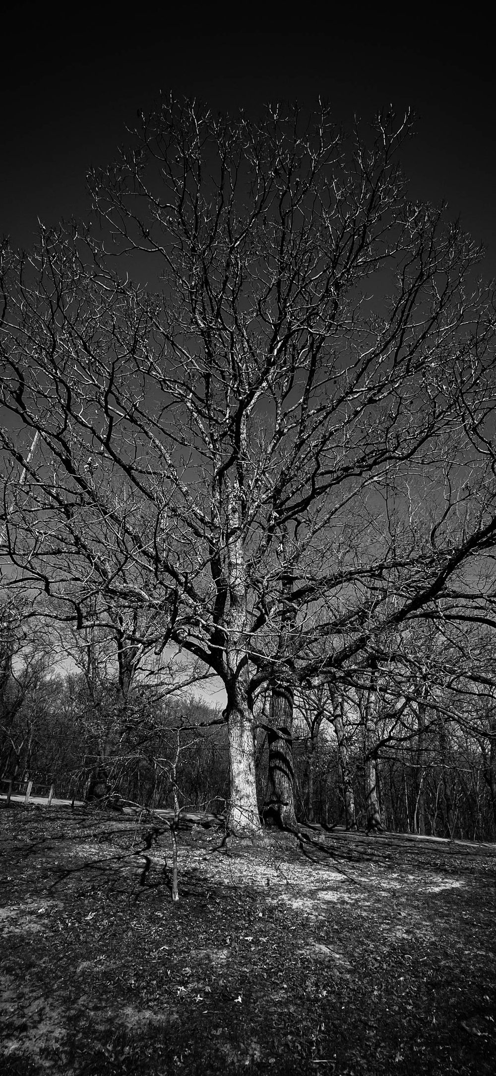 IMG_3890-edit