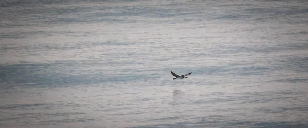 DS0A0108-Enhanced-NR