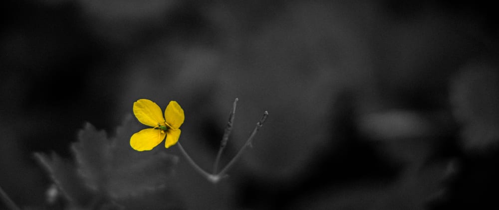 DS0A7621