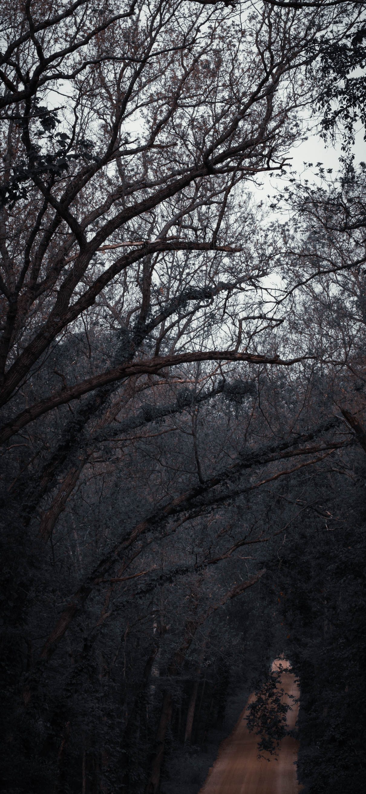 DS0A3356 (1)