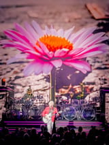 IMG_3399