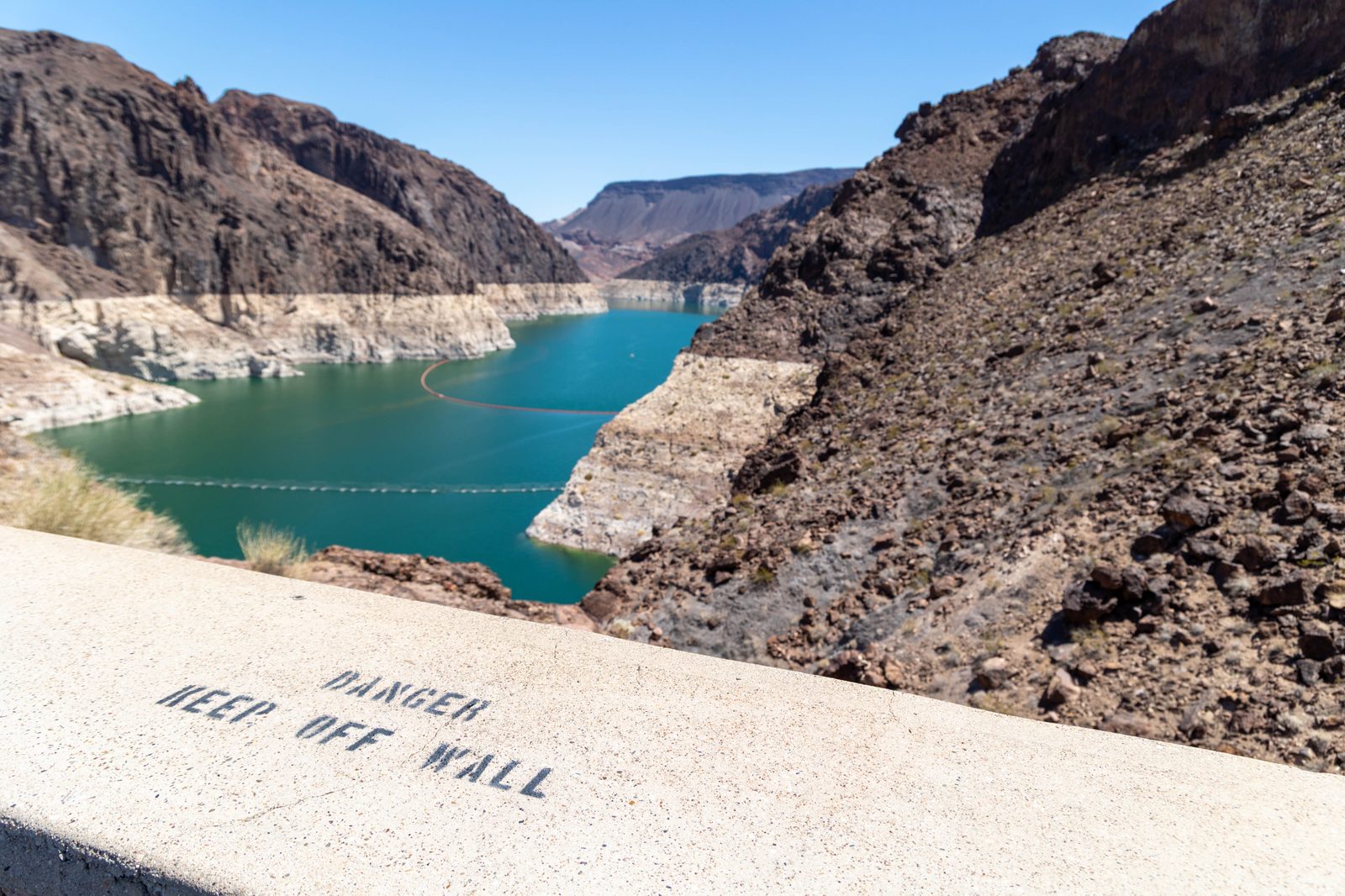 DS0A6545