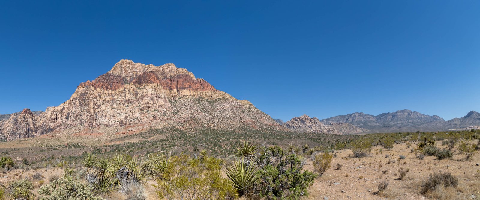 DS0A5548-Pano-2